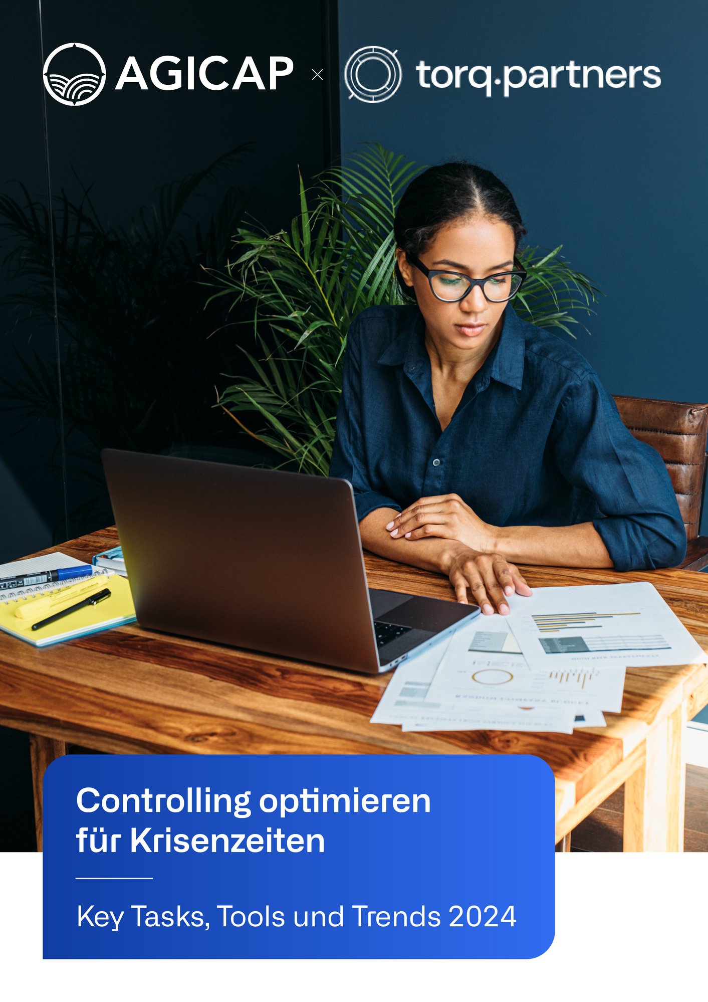 Controlling optimieren Cover