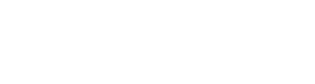 ace logo weiß-1